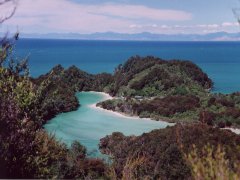 View on a walk down to the sea, Abel Tasman NP