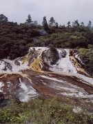 Sinter terrace, Orakei Korakao