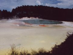 Champagne pool - 90C, Wai-o-tapu