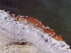 Champagne pool - bubbles, Wai-o-tapu