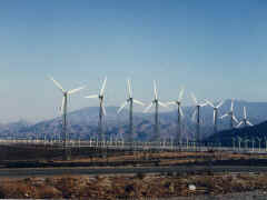 Palm Springs - wind mills