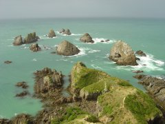 Nugget Point, Catlins coast