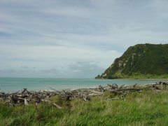 Natural beach, Te Araroa