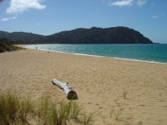 Strand von Totaranui