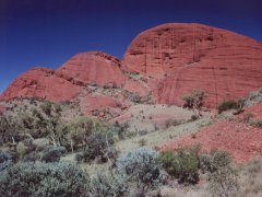 Tal des Windes Wanderung, The Olgas