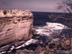 Rasor back rock, Great Ocean Road