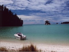 One of the many beaches, Abel Tasman NP