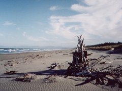 Strand, nördlich von Christchurch