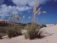 90 mile beach