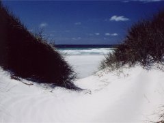 Weisser Quarzsand, 90 mile beach - Westseite