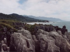 Pfannkuchen Felsen, Paparoa NP