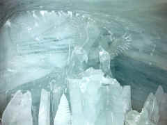 Ice eagle