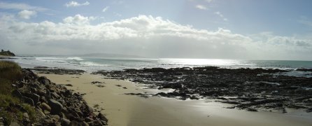 Cannibal bay, Catlins coast