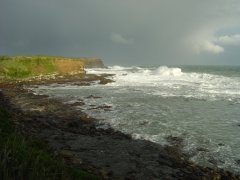 Curio bay, Catlins coast