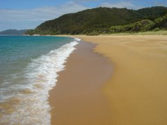 Strand von Totaranui