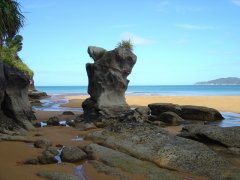 Strand von Totaranui