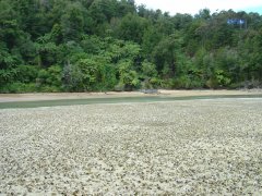 Awaroa Inlet